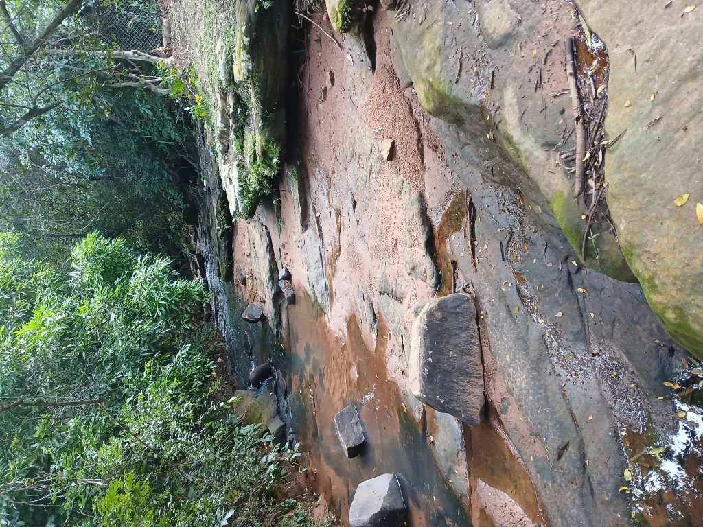Urgente Remato Terreno con Arroyo — foto 3