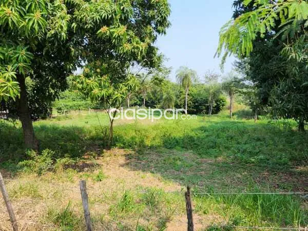 Vendo Terreno Zona Ruta Luque - Limpio — foto 3