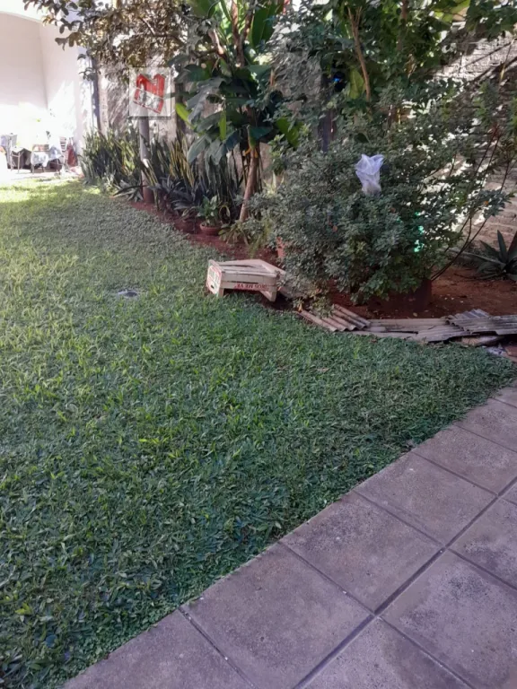ALQUILAMOS DEPARTAMENTITO SOBRE BOGGIANI CASI NEUDELMAN EN VILLA MORRA — foto 2