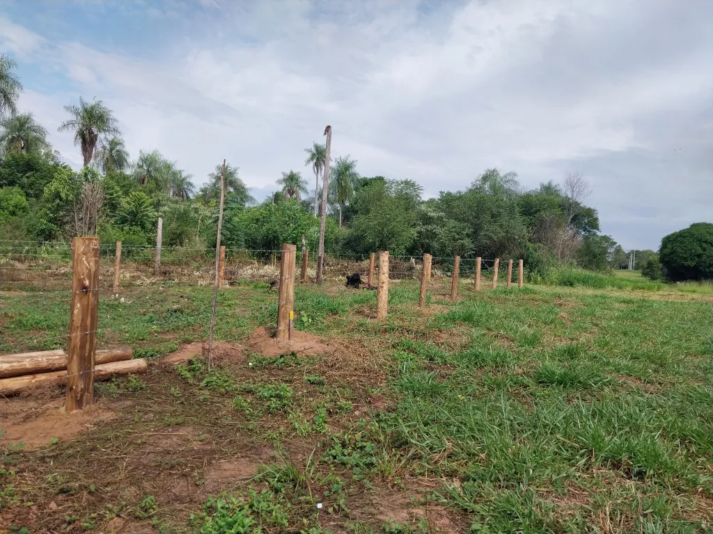 Oferta terreno con mas de 50 metros de arroyo en Eusebio Ayala — foto 2