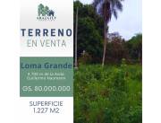 🌿🏡 ¡Terreno ideal en Loma Grande para tu próximo proyecto! 🏡🌿