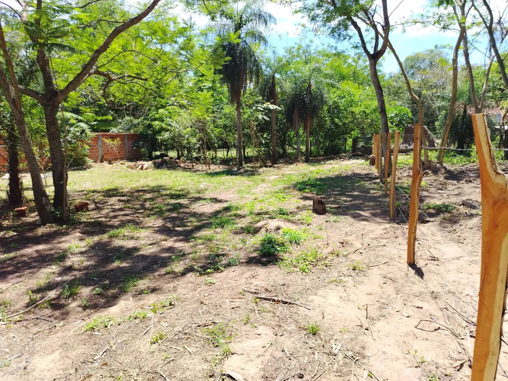 Terreno Sanbernardino — foto 3
