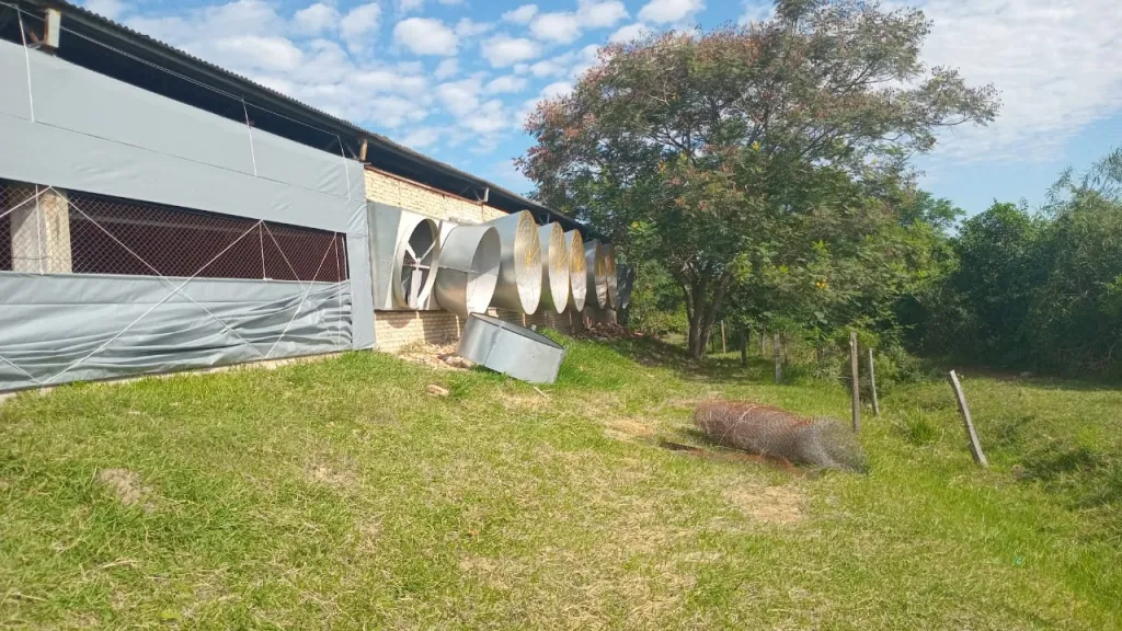 CAACUPE-PEDROZO. VENDO ESTABLECIMIENTO AVÍCOLA DE 4 HECTÁREAS — foto 2