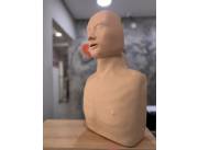 Torso para RCP (manual) – Características*