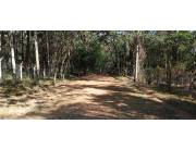 *VENDO 2.000 M2 DE TERRENO EN SAN BERNARDINO - ZONA ANFITEATRO*