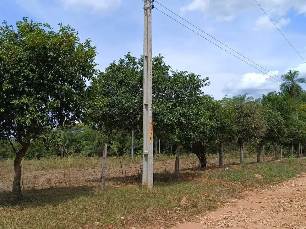 En venta propiedad de Nueva Colombia Disponibles 5 hectáreas — foto 2