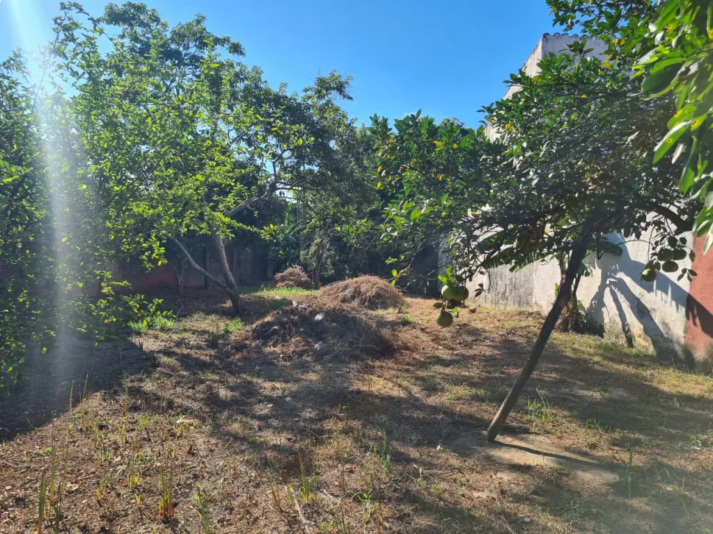 ESPECTACULAR TERRENO sobre Calle Fdo de PINEDO c RUTA II — foto 3