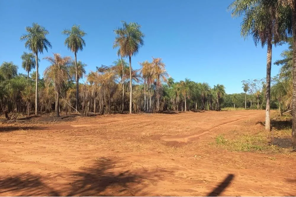 Terreno Ideal en Itauguá: 19,000 m² para Soñar — foto 3