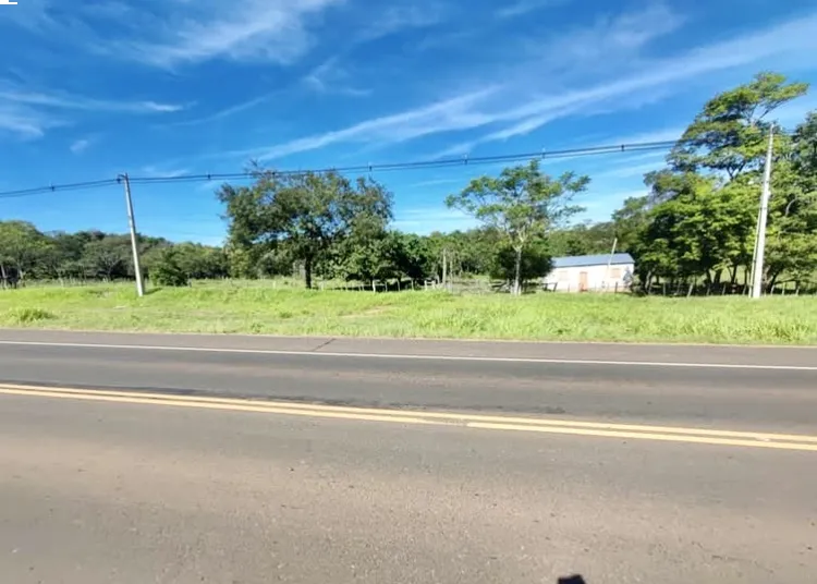 16 HA. CAMPO EN CURUGUATY - CANINDEYU — foto 2