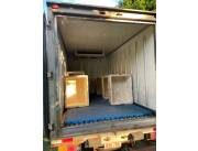 Camion refrigerado/Camion frigorifico