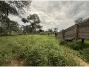 VENDO ESTANCIA EN CHACO CENTRAL NEULAND