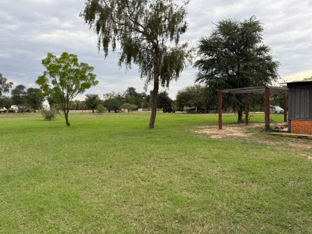 VENDO ESTANCIA EN CHACO CENTRAL NEULAND — foto 3