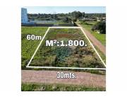 Terreno en Venta en Central Guarambaré