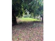 Vendo terreno en Ñemby (a una cuadra de Avda. Acceso Sur)