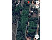 VENDO CASI 7 HECTAREAS EN ISLA VALLE AREGUA