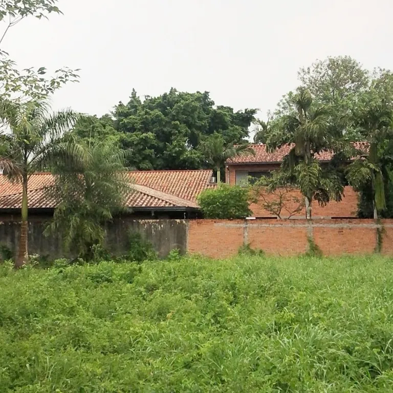 Vendo 4 terrenos de 1.440 m2 en total en laurelty san lorenzo — фото 2