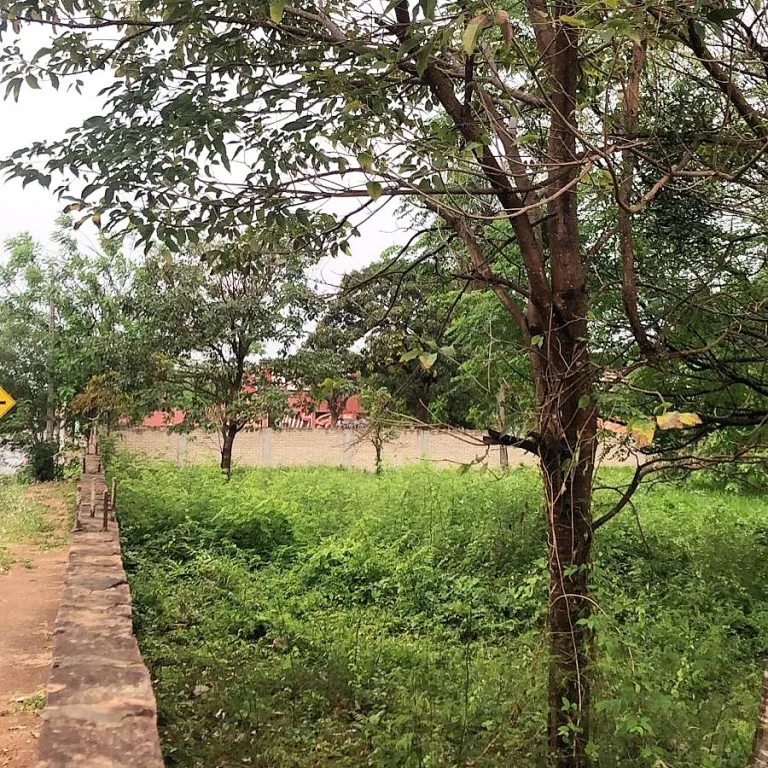 Vendo 4 terrenos de 1.440 m2 en total en laurelty san lorenzo — фото 3