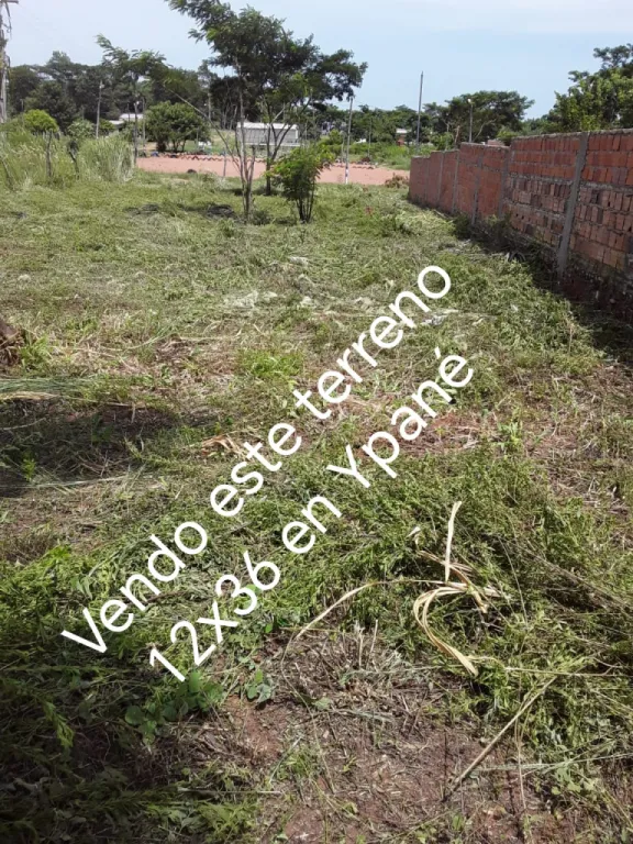 Anuncio 2642766 — foto 3