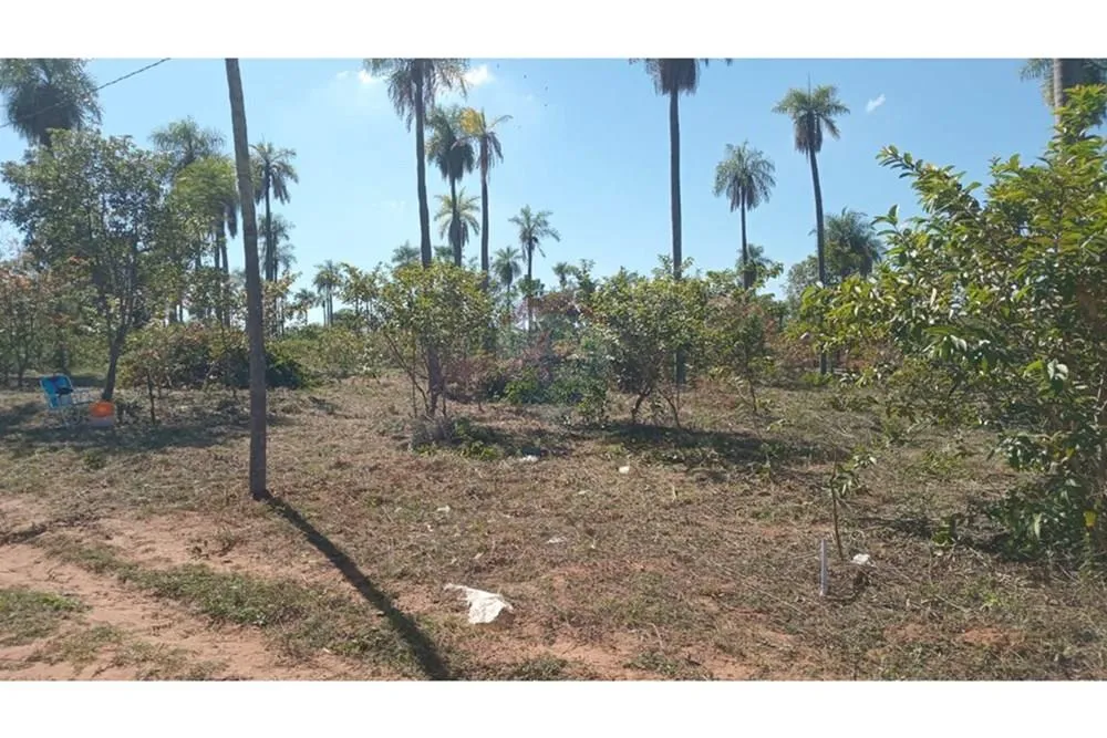 VENDO TERRENOS EN LOMA GRANDE — foto 2