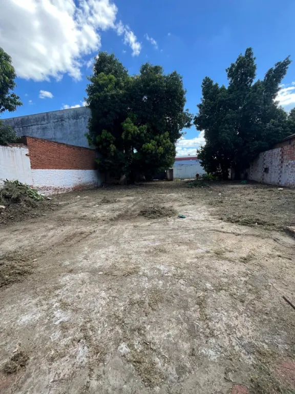 Anuncio 2657027 — foto 2
