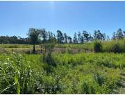 EN VENTA TERRENO EN LUQUE ZONA CAÑADA SAN RAFAEL ID 31518