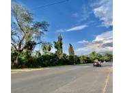 3 HECTAREAS CAMPO EN AREGUA