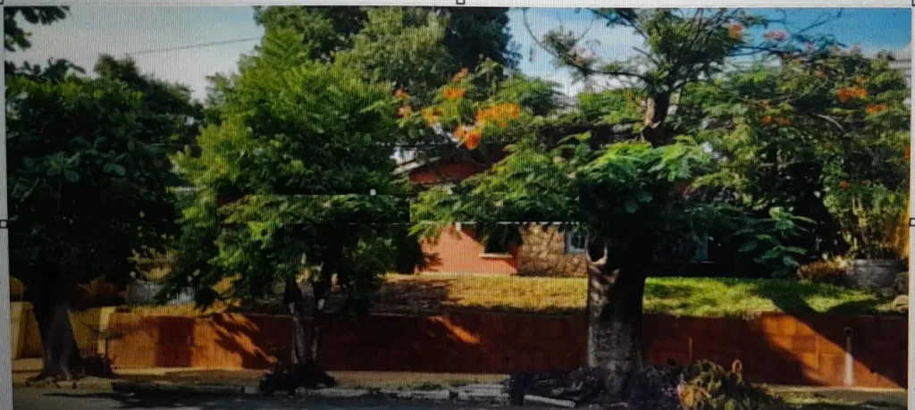 OPORTUNIDAD!! VENTA HERMOSA PROPIEDAD ZONA COL.INTERNACIONAL CIUDAD NUEVA — foto 3