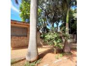 VENDO CASA EN FERNANDO DE LA MORA Z/NORTE, Z/HOSPITAL MATERNO INFANTIL DE FDO DE LA MORA