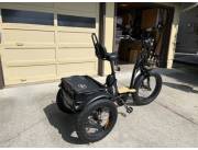2020 Addmotor M-340T Three-Wheel Electric Bicycle