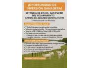 SAN PEDRO YCUAMANDYYÚ, OPORTUNIDAD GANADERA! 876 HAS + RIO JEJUÍ, LICENCIA AMBIENTAL.