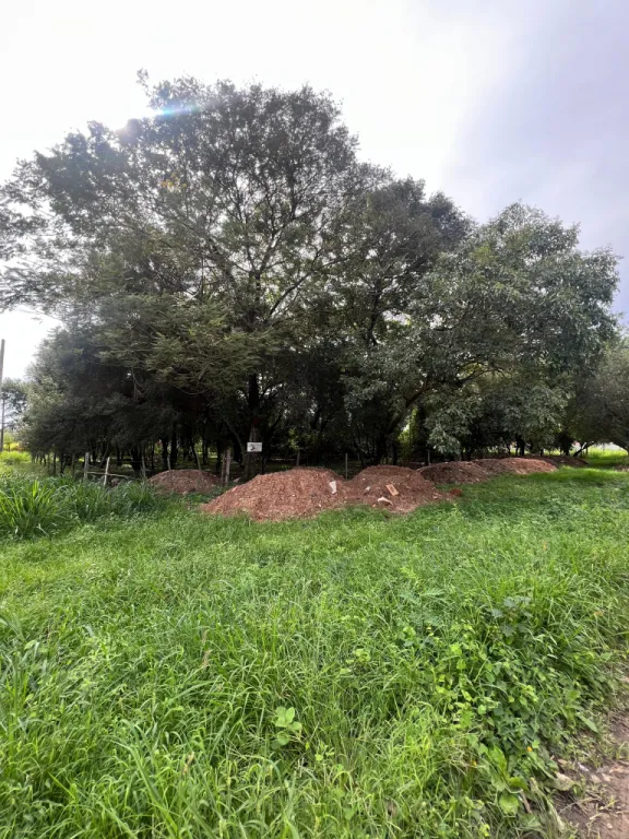 En venta terreno en esquina de 2.400m2 en Limpio barrio Isla Aveiro - Distrito Norte!! — foto 3