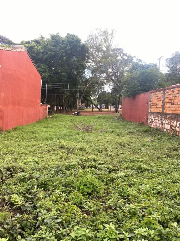 VENDO TERRENO DE 432 m2 EN VILLA ELISA⭐️ — photo 2