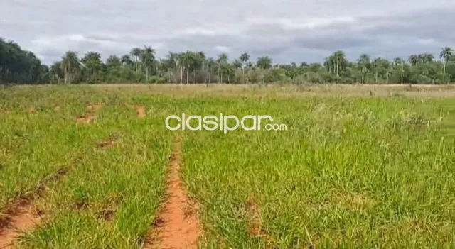 Terreno en venta en Valenzuela - Cordillera, Valenzuela — foto 3