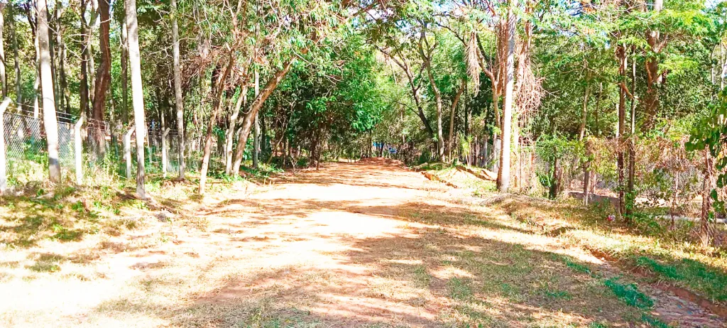VENDO 2.000 M2 DE TERRENO EN SAN BERNARDINO - ZONA ANFITEATRO — foto 3