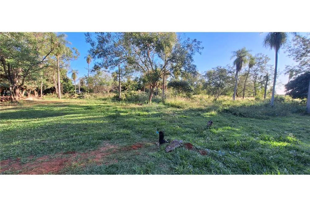 EN VENTA DOS HECTAREA LUQUE CENTRO — foto 3