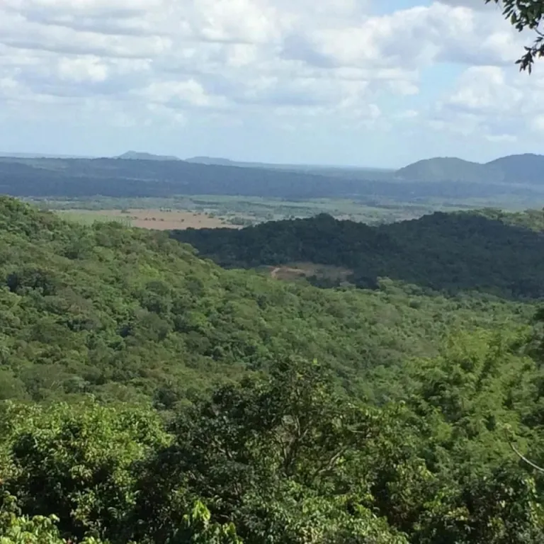 HERMOSA PROPIEDAD DE 10 HAS SOBRE RUTA EN MBATOVI — photo 2