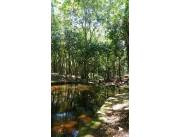HERMOSA PROPIEDAD DE 63 HAS EN PARAGUARI ESCOBAR