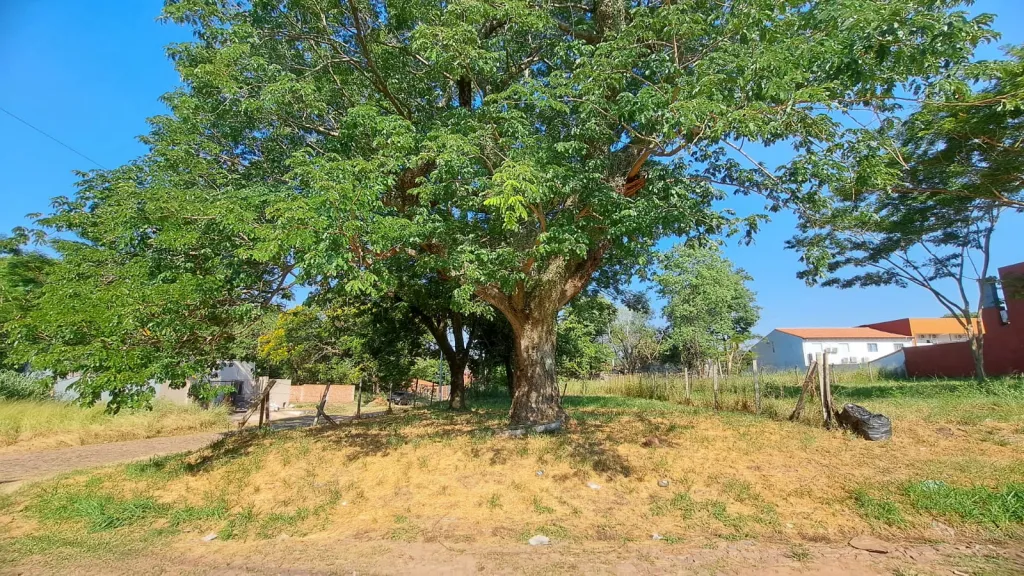 VENDO TERRENO EN LAMBARE BARRIO VILLA VIRGINIA COD 5276 — фото 2