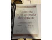 Anatomia de los animales domésticos. Veterinaria 1er año S.Sisson