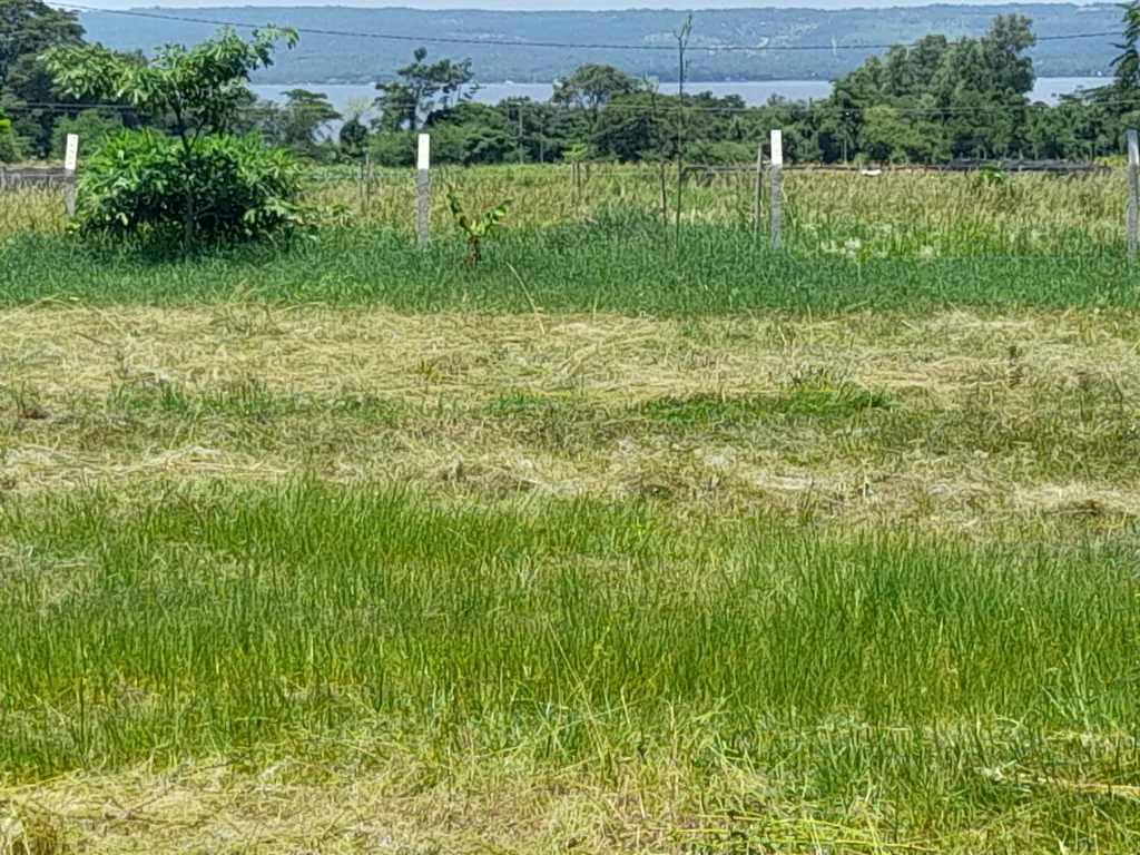 🌅 Terreno en Venta – Estanzuela, Areguá – Vista al Lago Ypacaraí — foto 3