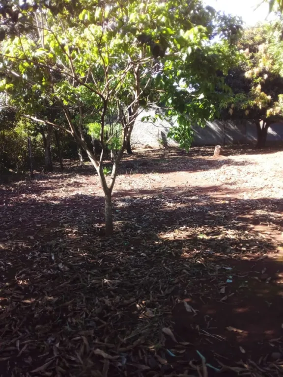 VENDO TERRENO EN KM. 12 ACARAY Ciudad del Este (CDE) 12m X 30m (360m2) — foto 2