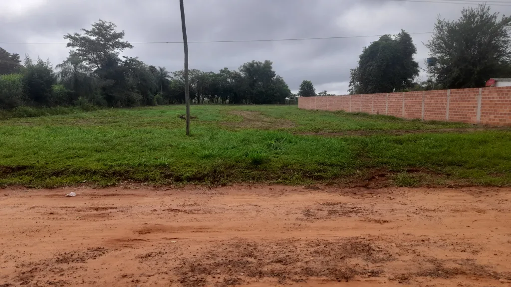 VENDO TERRENO 3000M2 30X100 EN OLEARY — foto 2
