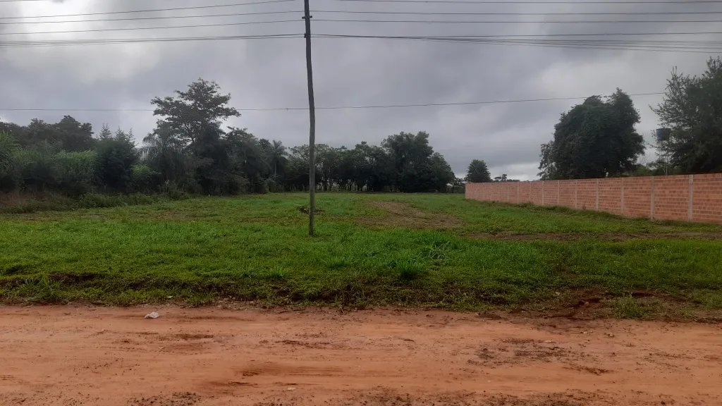 VENDO TERRENO 3000M2 30X100 EN OLEARY — foto 3