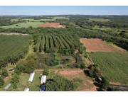 VENDO 53 HECTAREAS CON INFRAESTRUCTURA EN PIRIBEBUY