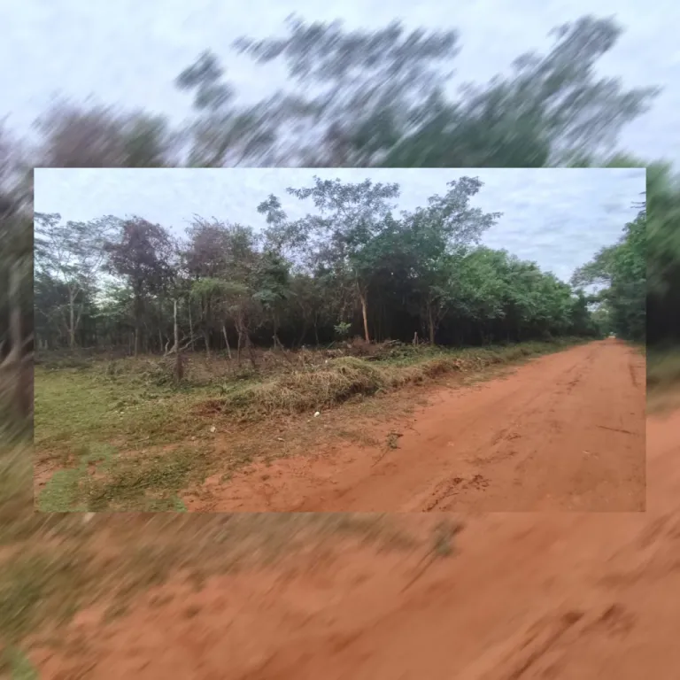 Terreno en venta en 25 de Diciembre — foto 2