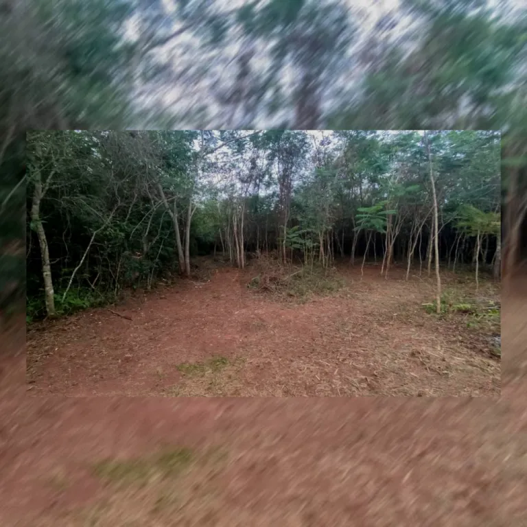 Terreno en venta en 25 de Diciembre — foto 3