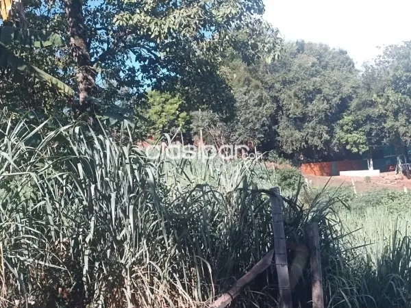 Vendo en Alto Parana 14 propiedades — foto 2