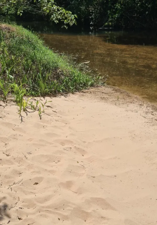 VENDO TERRENO DE 4.000 METROS CUADRADOS EN PIRARETA, CON 40 METROS SOBRE EL ARROYO YHAGUY — foto 2