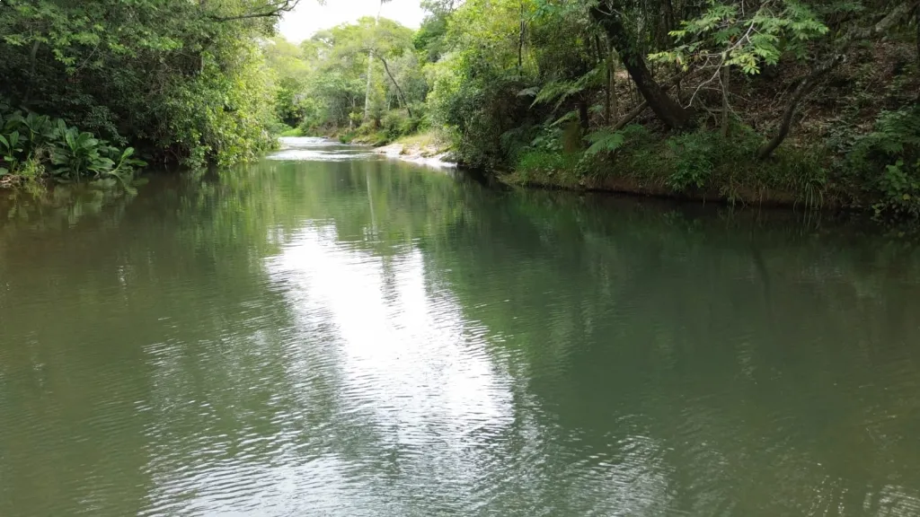 VENDO TERRENO DE 4.000 METROS CUADRADOS EN PIRARETA, CON 40 METROS SOBRE EL ARROYO YHAGUY — foto 3