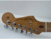 Fender American Professional II with amp